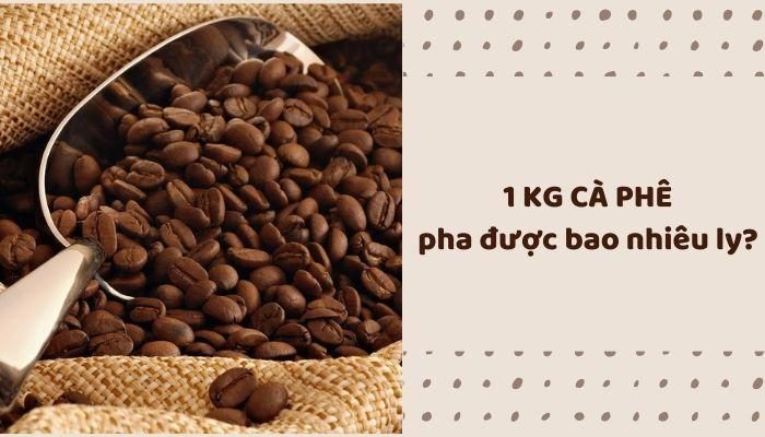 Một kg cà phê hạt rang xay pha được bao nhiêu ly