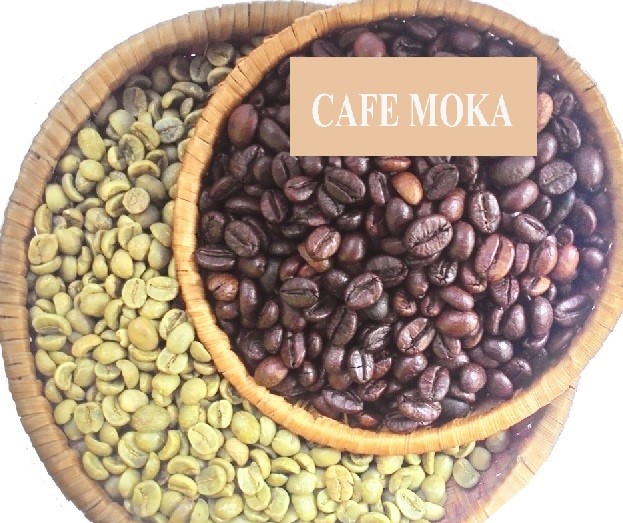 Hương vị của hạt cafe Moka là gì mà được mệnh danh Nữ Hoàng?