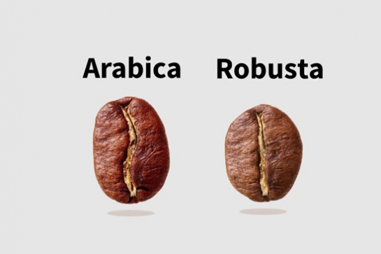 Cách phân biệt giữa hạt cà phê Arabica và Robusta