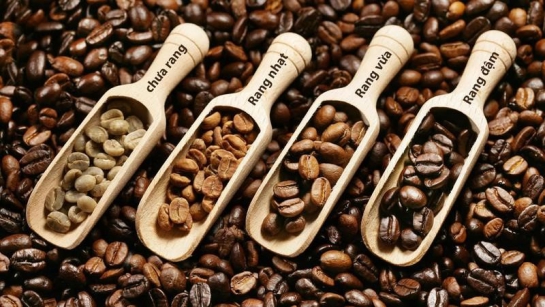 Đặc điểm cà phê Arabica rang mộc và cách nhận biết nó