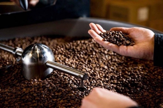 Cơ sở rang xay cà phê uy tín cho hợp tác lâu dài